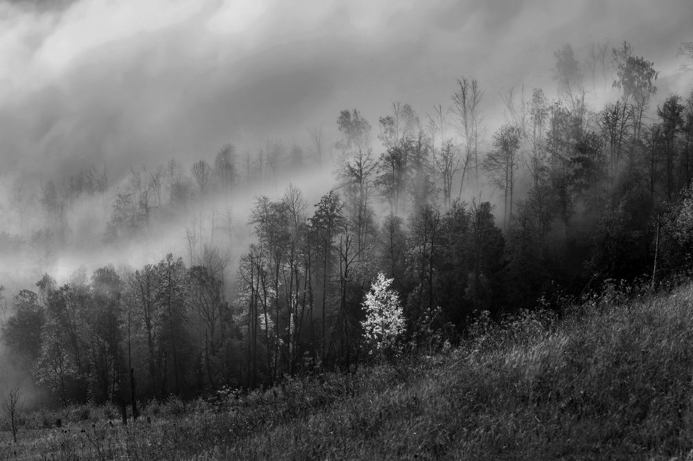 Photograph by Владимир Акиньшин