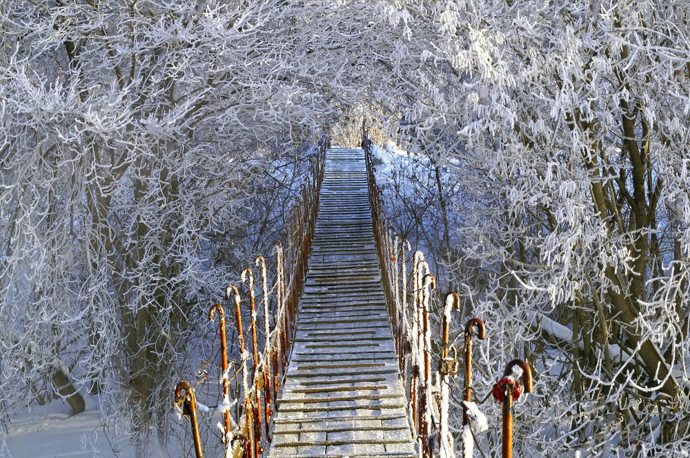 Photograph by Мишустина Татьяна