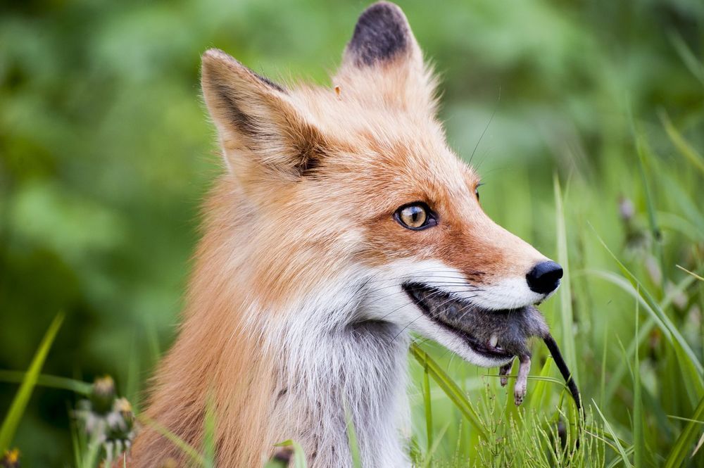 Фотография автора Виталий Филючков