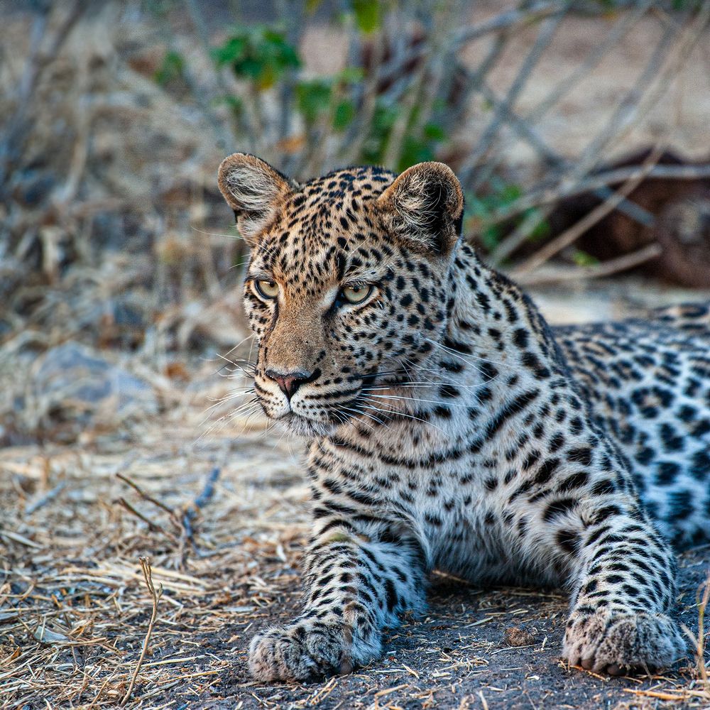 Фотография автора Виталий Филючков
