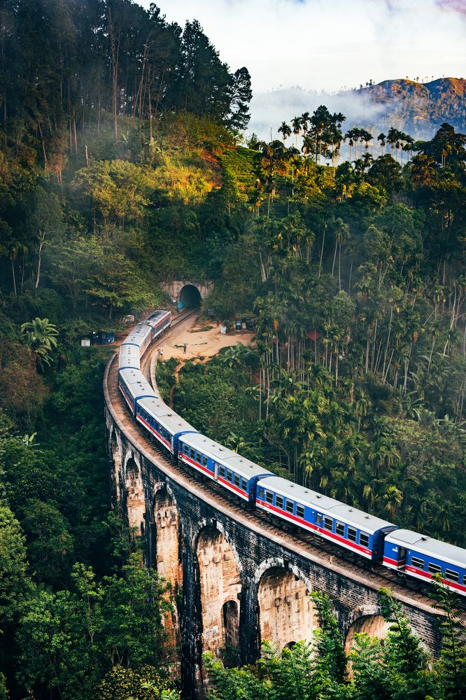 Photograph by Adrian Grigore