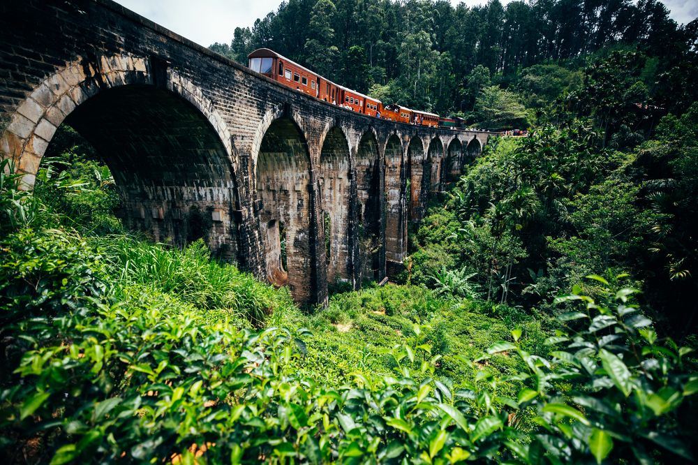 Photograph by Adrian Grigore