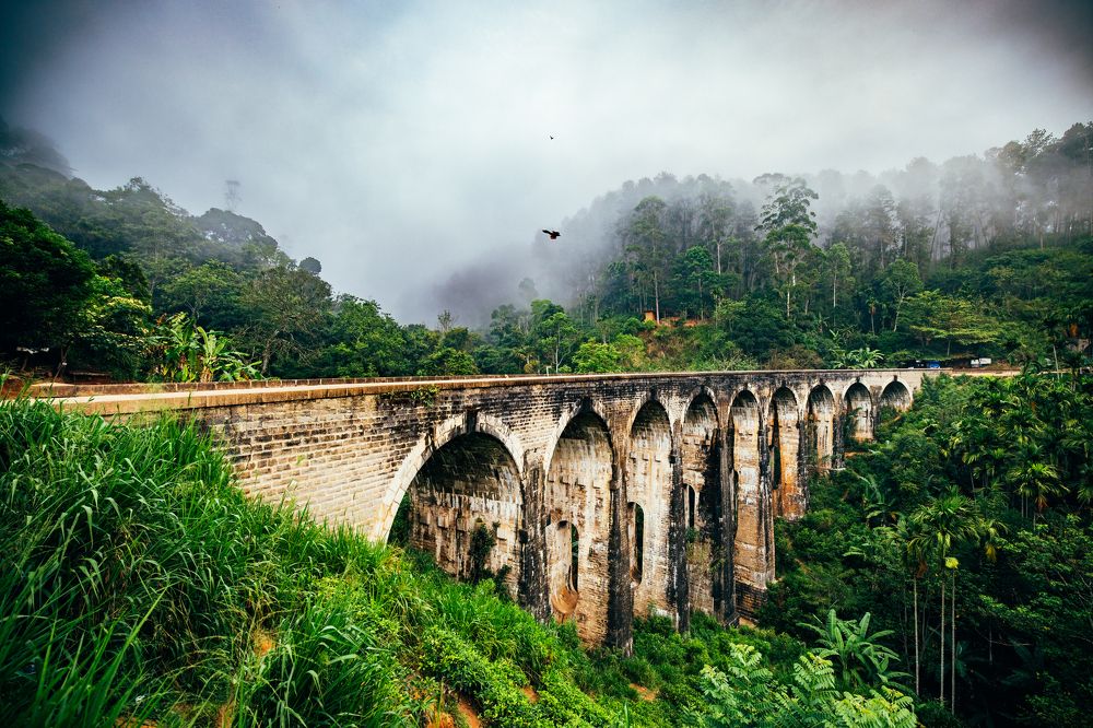 Photograph by Adrian Grigore