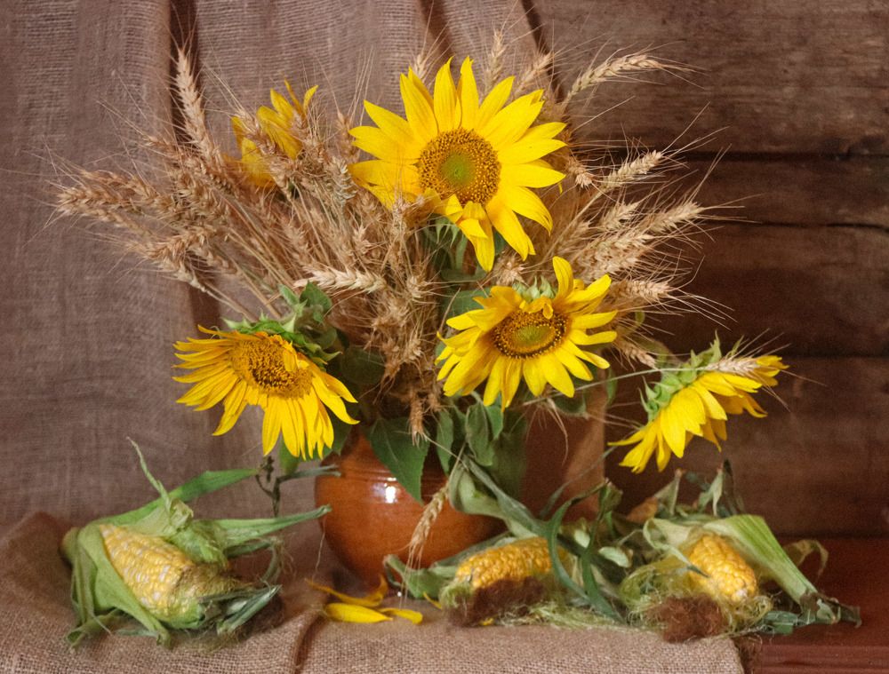 Photograph by Елена Рудкевич