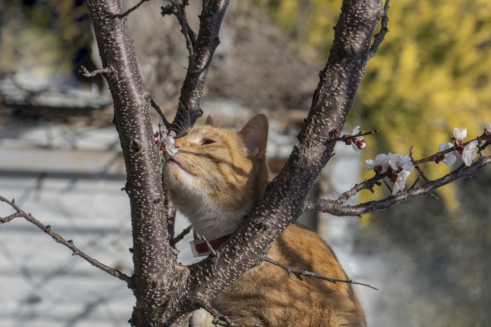 Photograph by Басыров Валерий