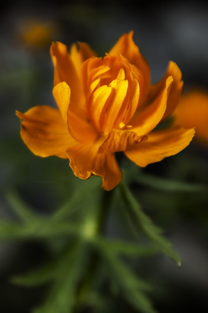 Photograph by Светлана Ващенко