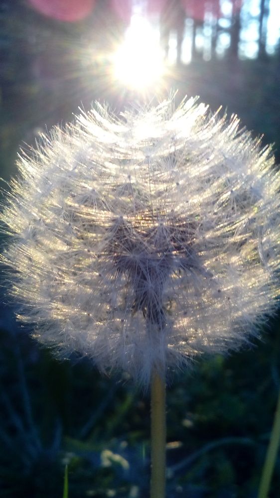 Photograph by Дмитрий Михайлов