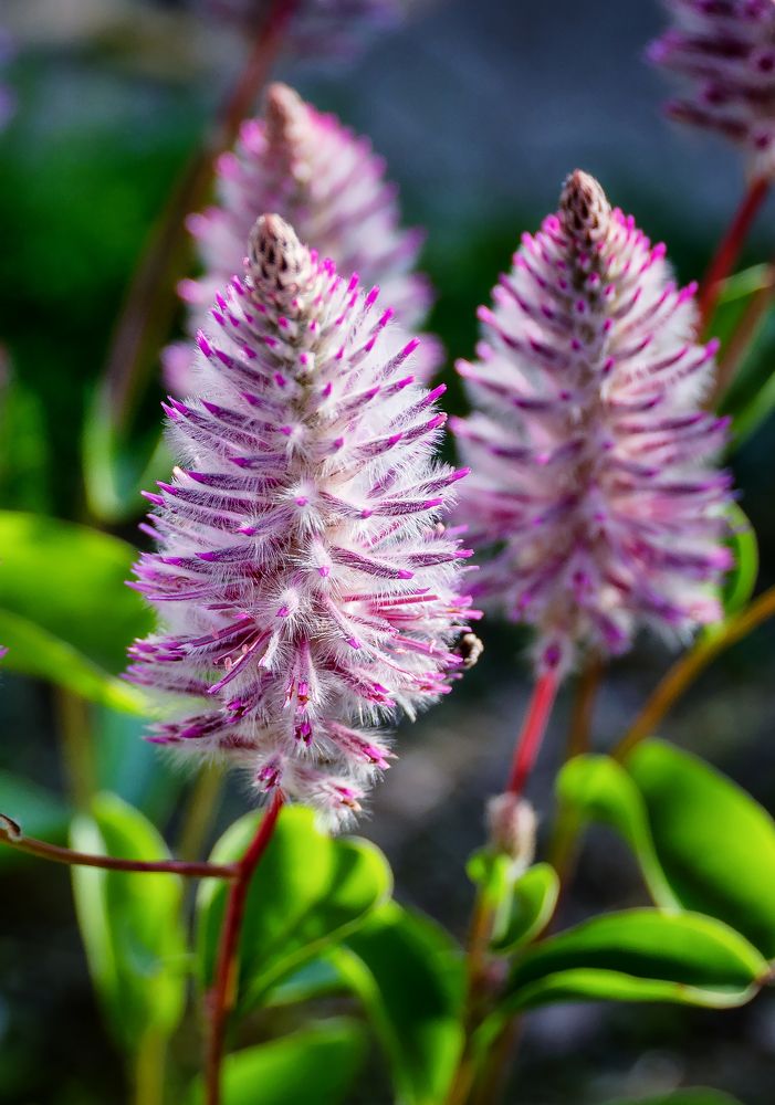 Photograph by Светлана Ващенко