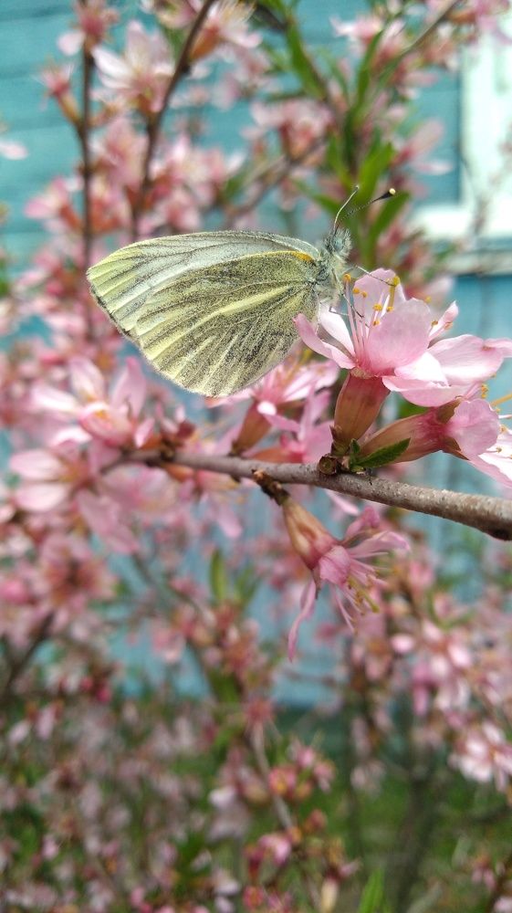 Photograph by Дмитрий Михайлов