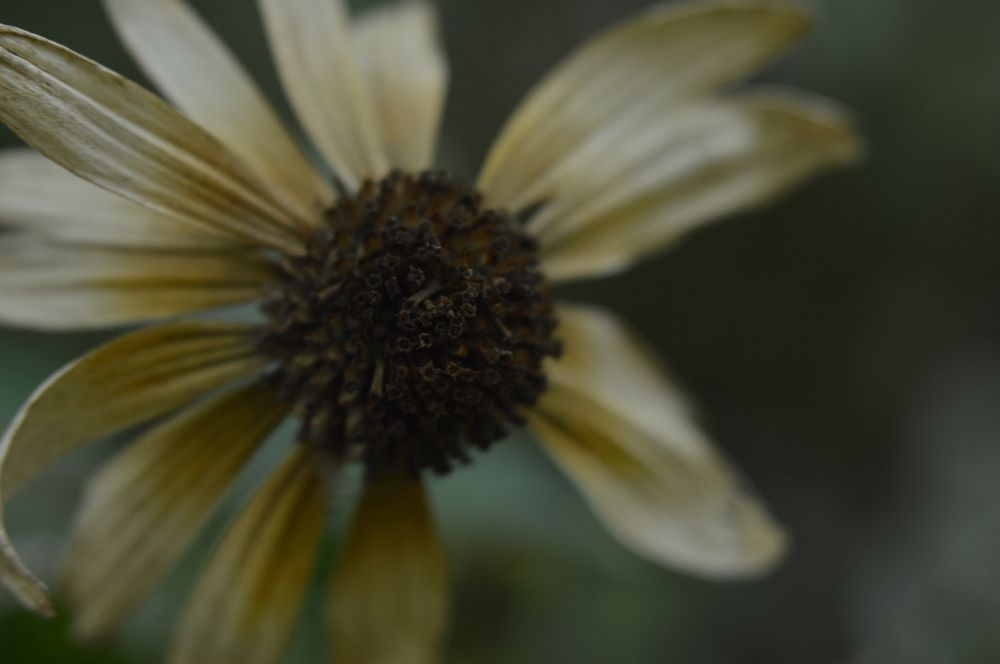 Photograph by Lizaveta Velichko