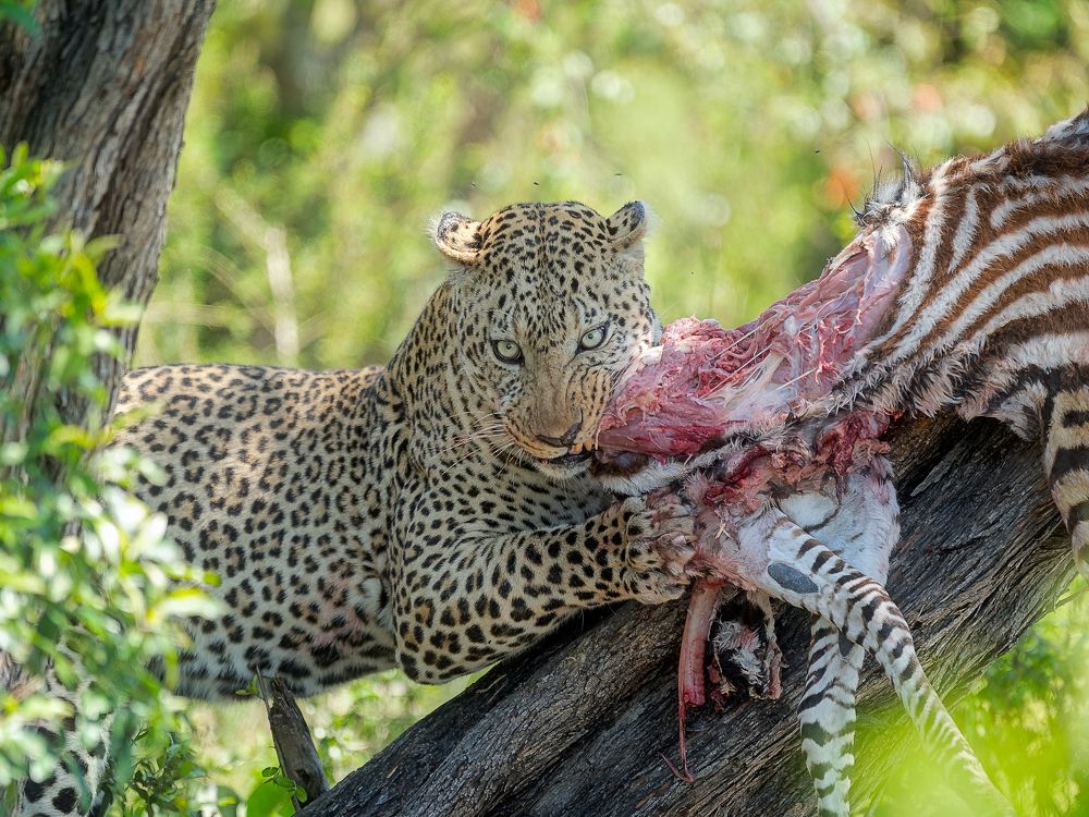 Photograph by Anand Kumar