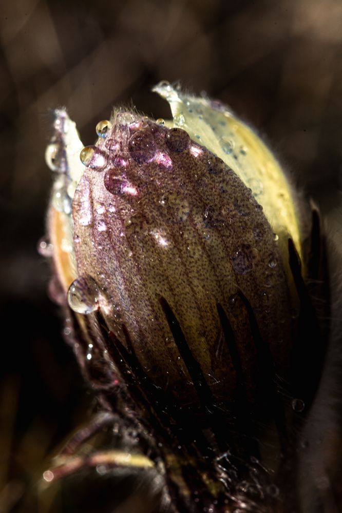 Photograph by Корчагина Оксана