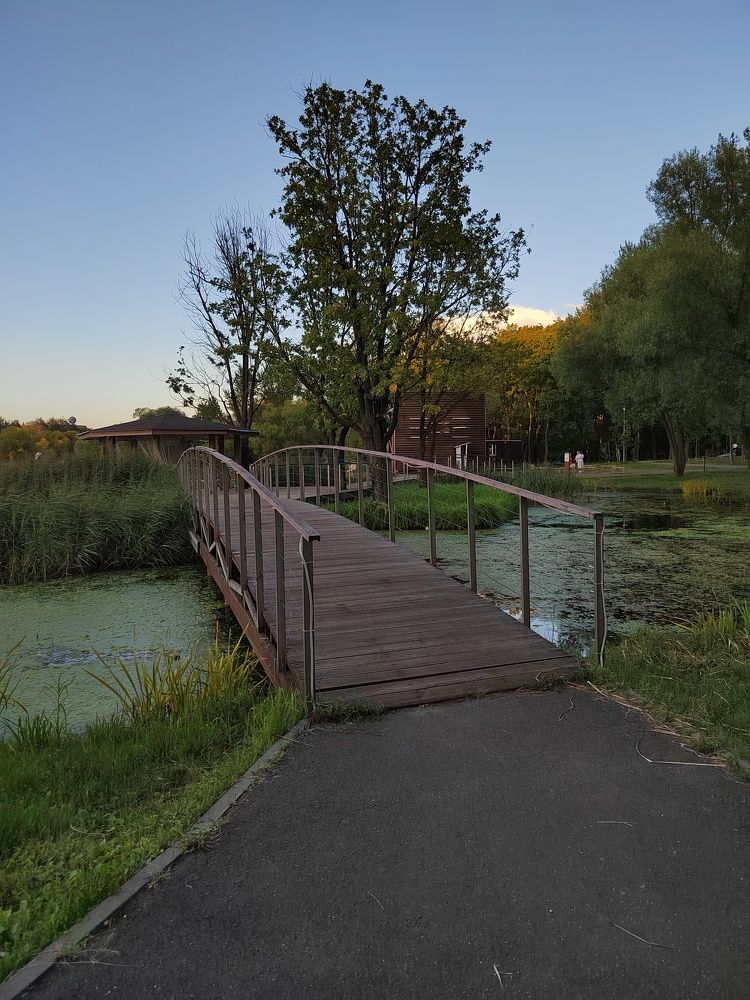 Фотография автора Ирина