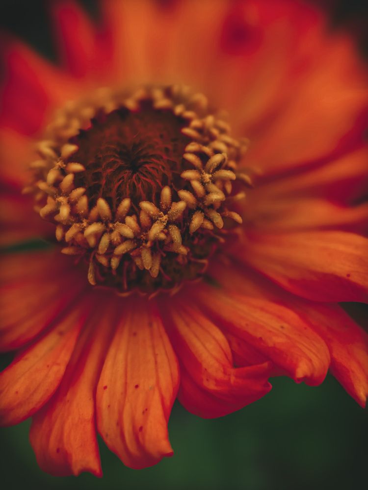 Photograph by Наташа Черепенина