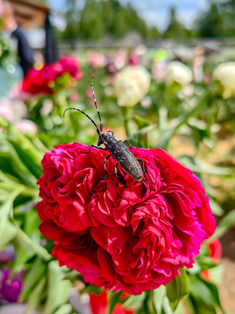 Photograph by Наташа Черепенина