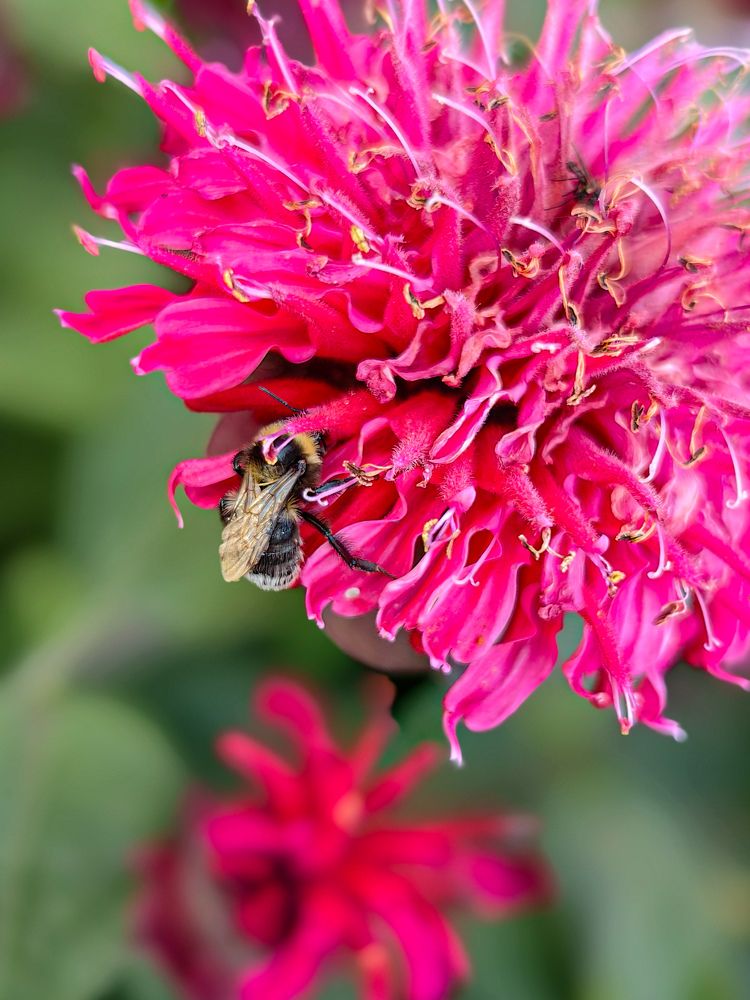 Photograph by Наташа Черепенина