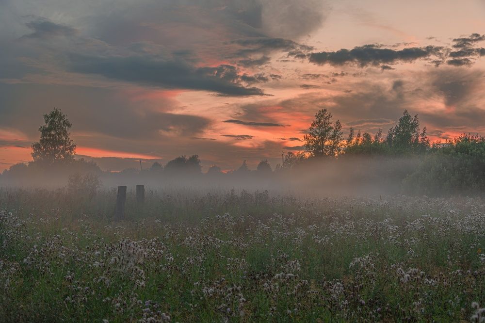 Photograph by Филатов Александр