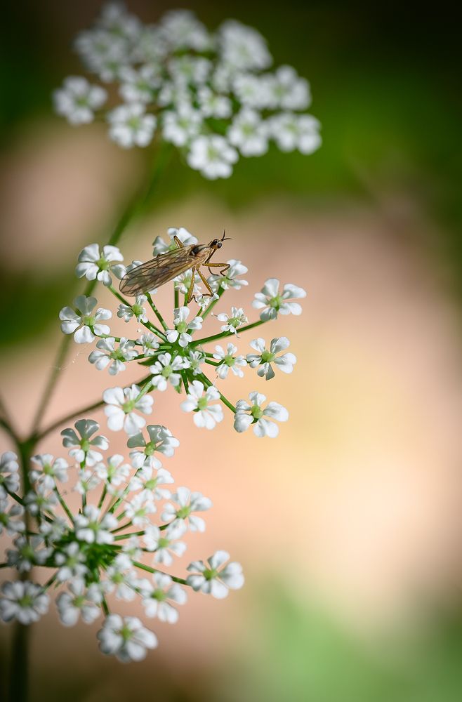 Фотография автора Геннадий Колебабэ