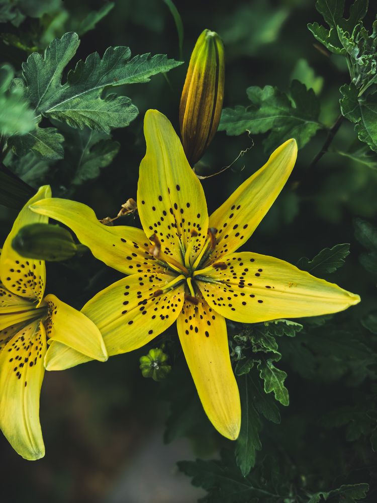 Photograph by Наташа Черепенина