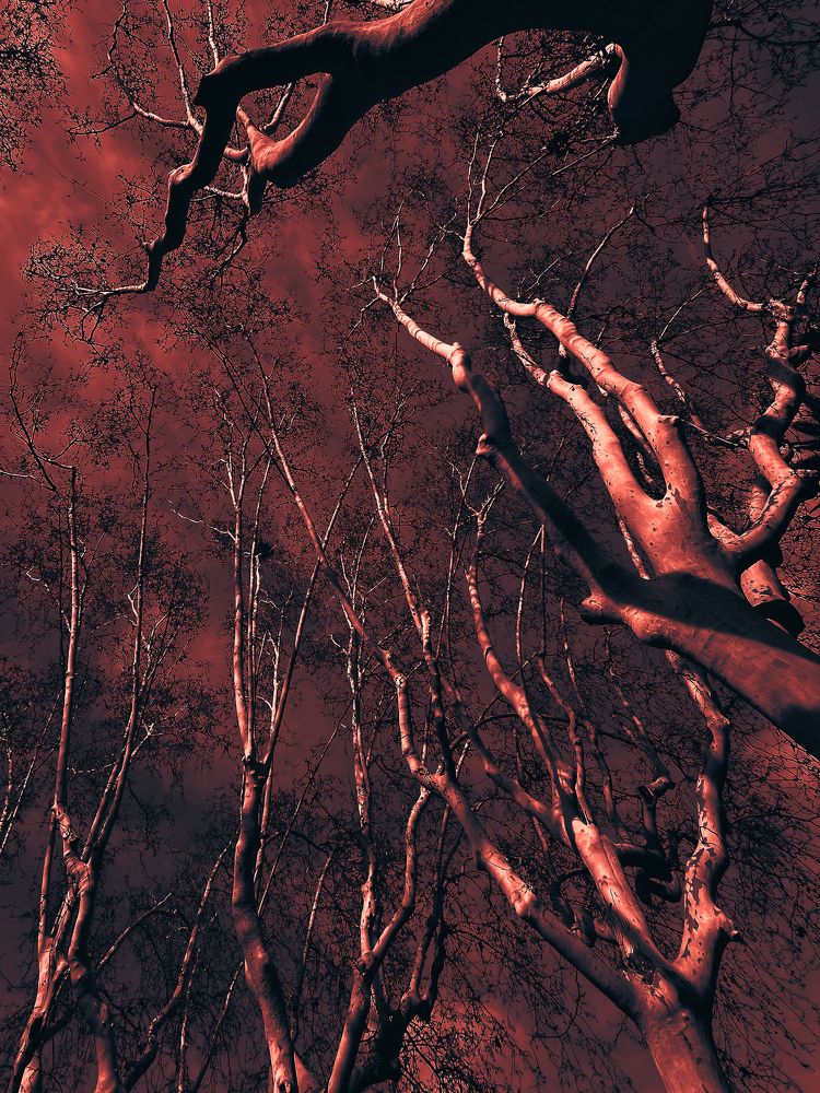 Photograph by Елена Башмакова