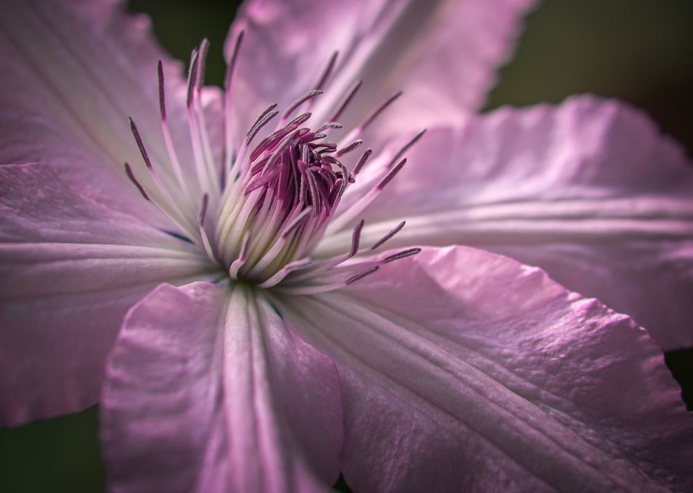 Photograph by Александр Сыроватка