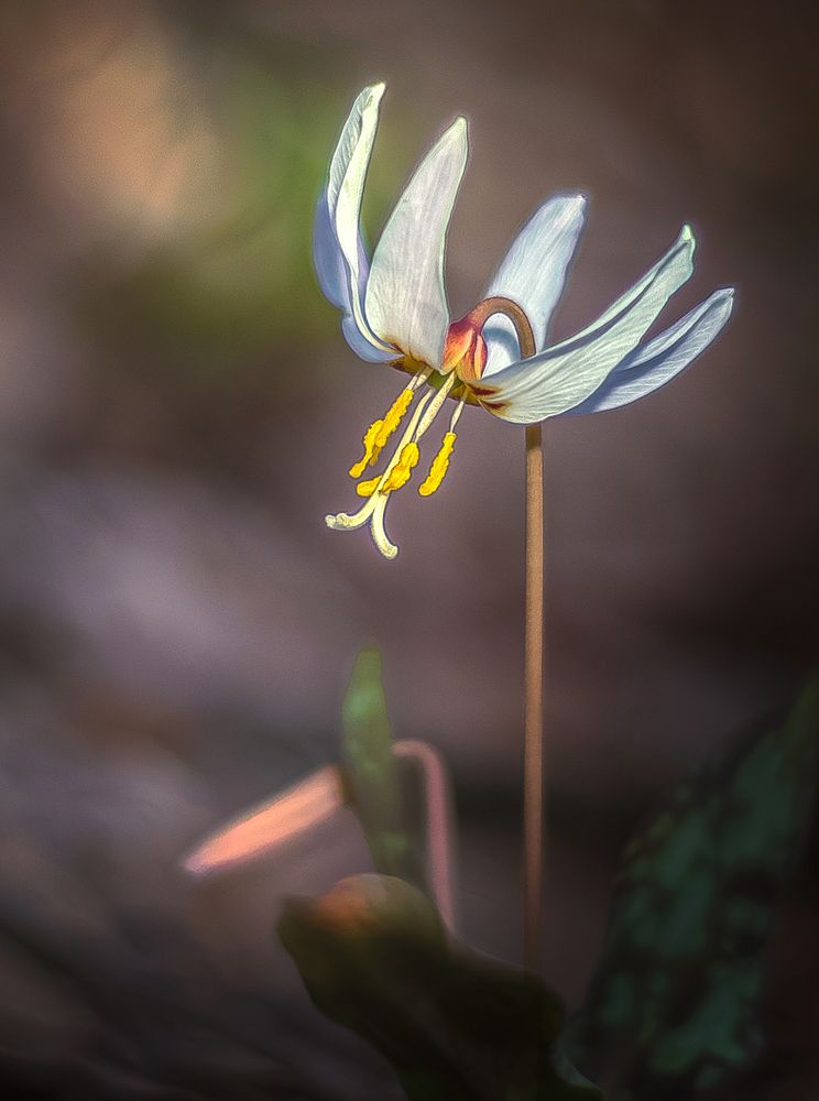 Photograph by Александр Сыроватка