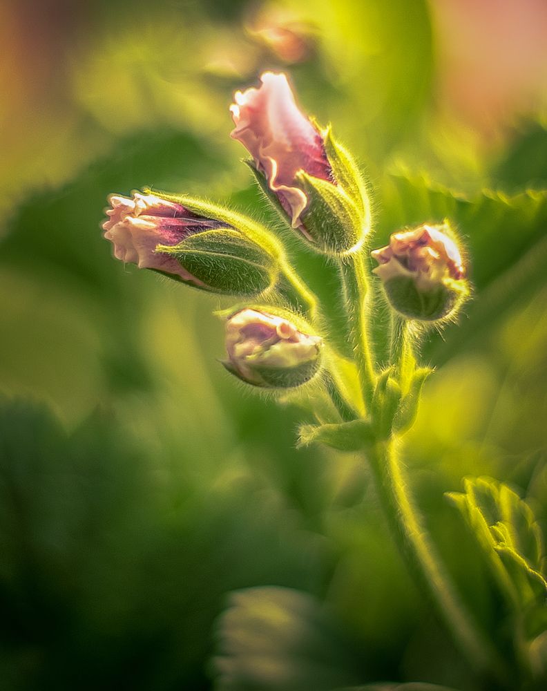 Photograph by Александр Сыроватка