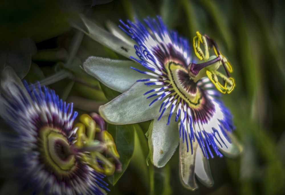 Photograph by Александр Сыроватка