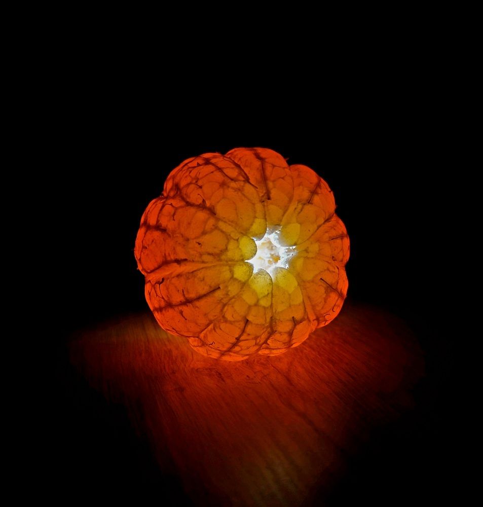 Фотография автора Vladimir Strochenkov