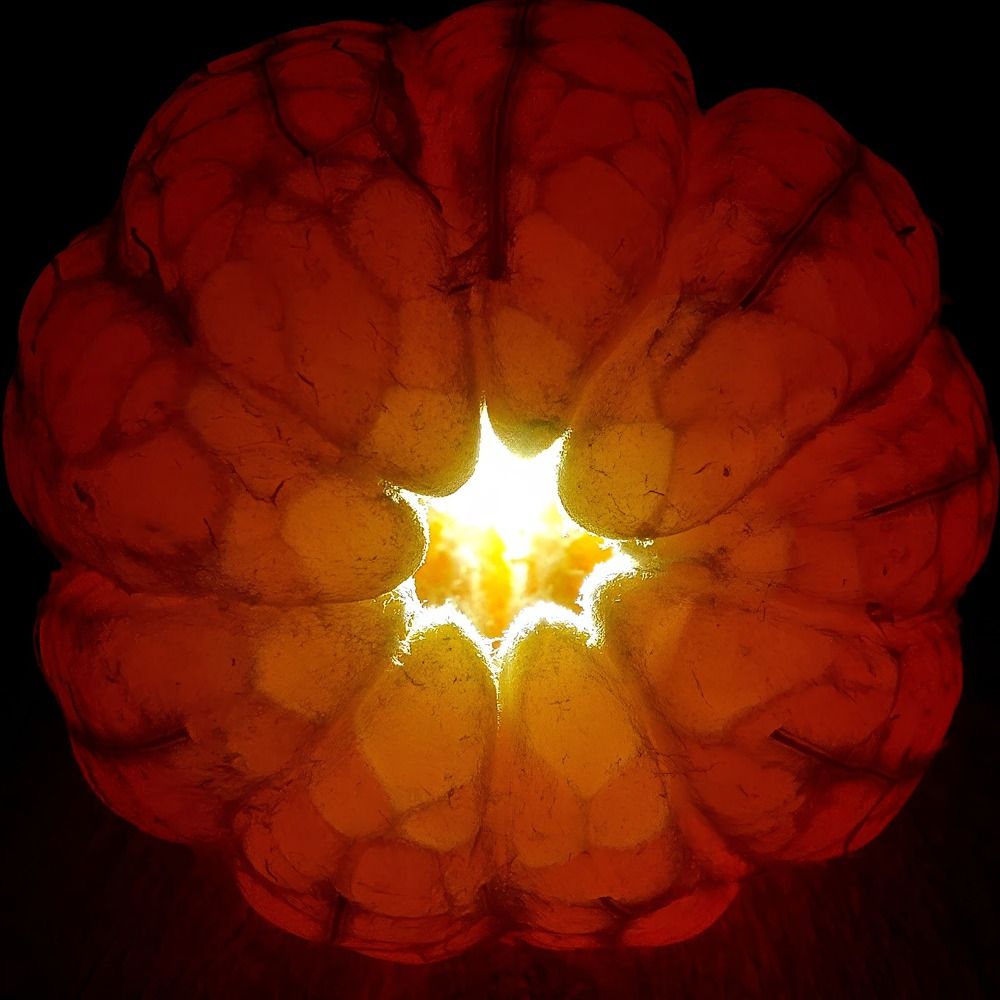 Фотография автора Vladimir Strochenkov