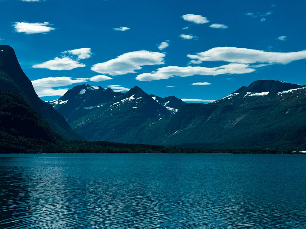 Фотография автора Anna Tikka