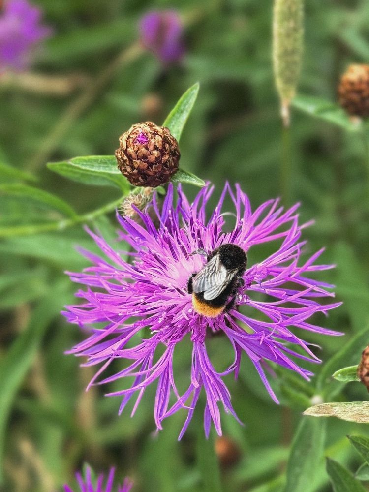 Фотография автора Anna Tikka