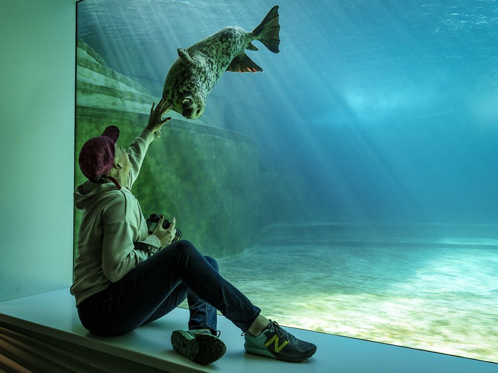 Photograph by Владимир Остапенко