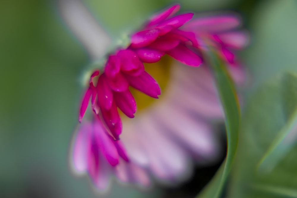 Photograph by Сергей Феофанов