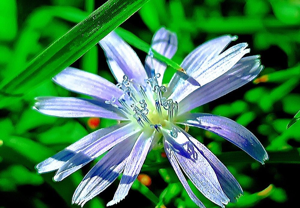 Photograph by Лариса Фомина