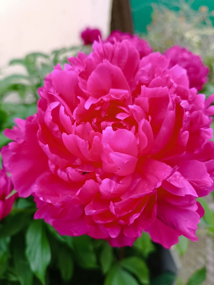 Photograph by ЮЛИЯ ОБРОКОВА