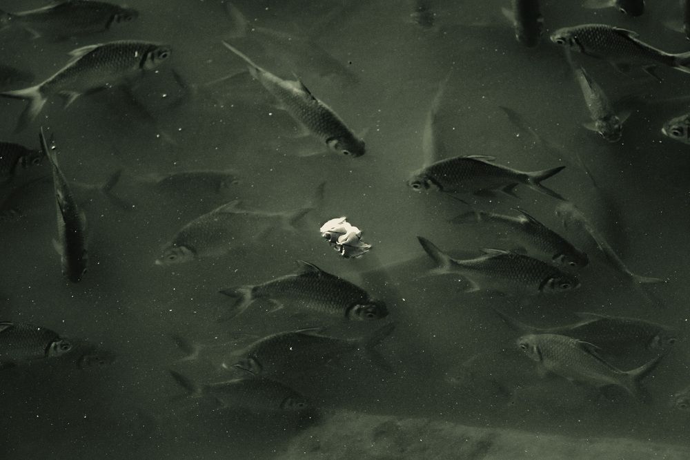 Photograph by Jerry Baka