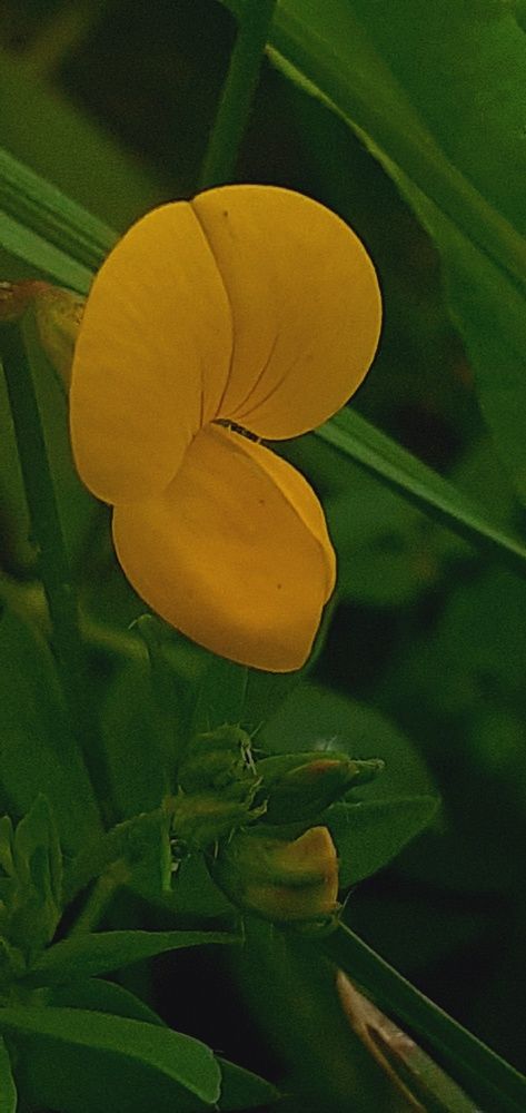 Photograph by Евгения Ульянова