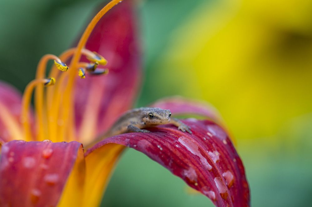 Photograph by Сергей Чупахин