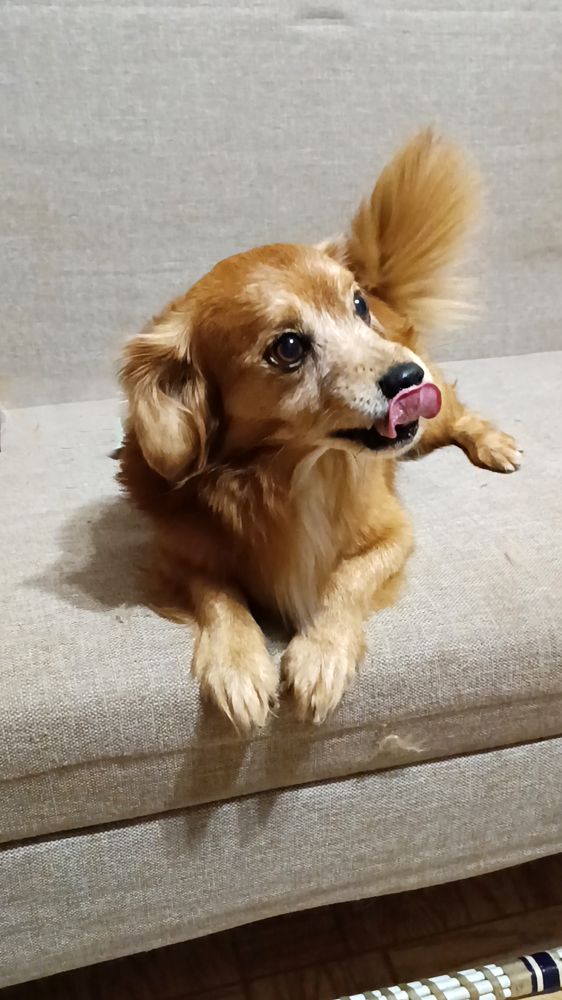 Photograph by ЮЛИЯ ОБРОКОВА