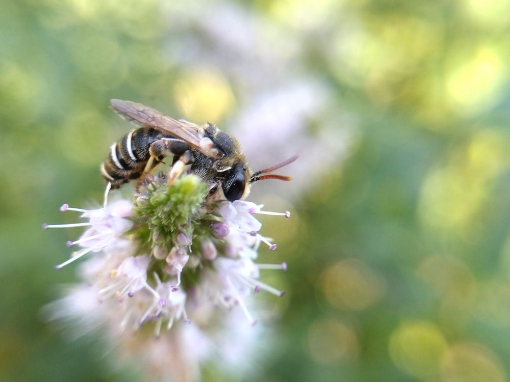 Photograph by Анна Степанова