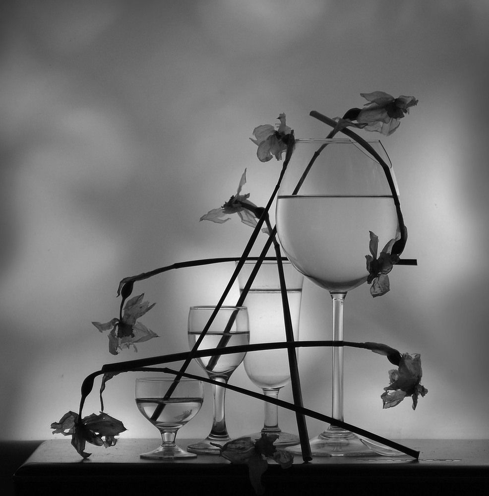 Photograph by 