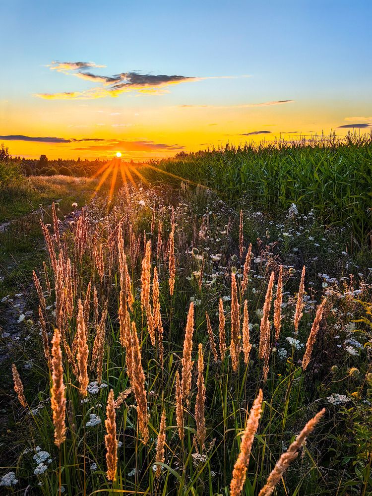 Photograph by Владимир Крылов