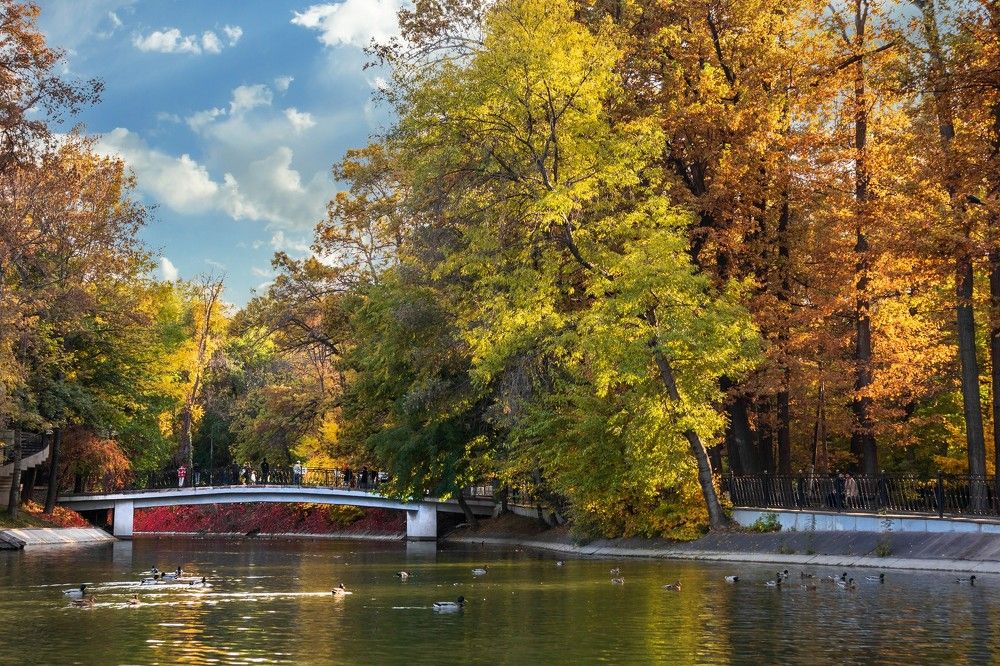 Photograph by Roman Chehovskoy