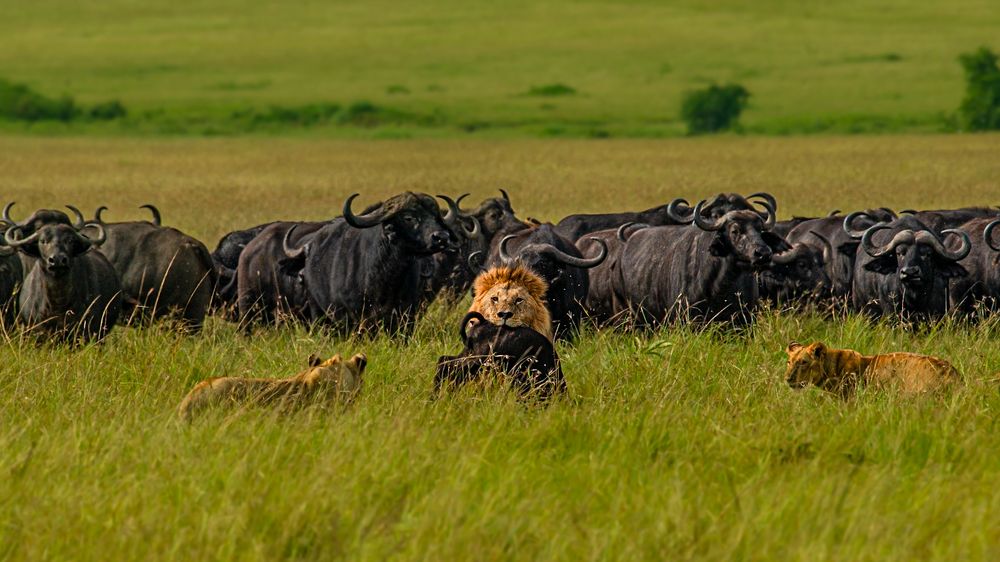 Photograph by Abner Moses Yasir Hussain