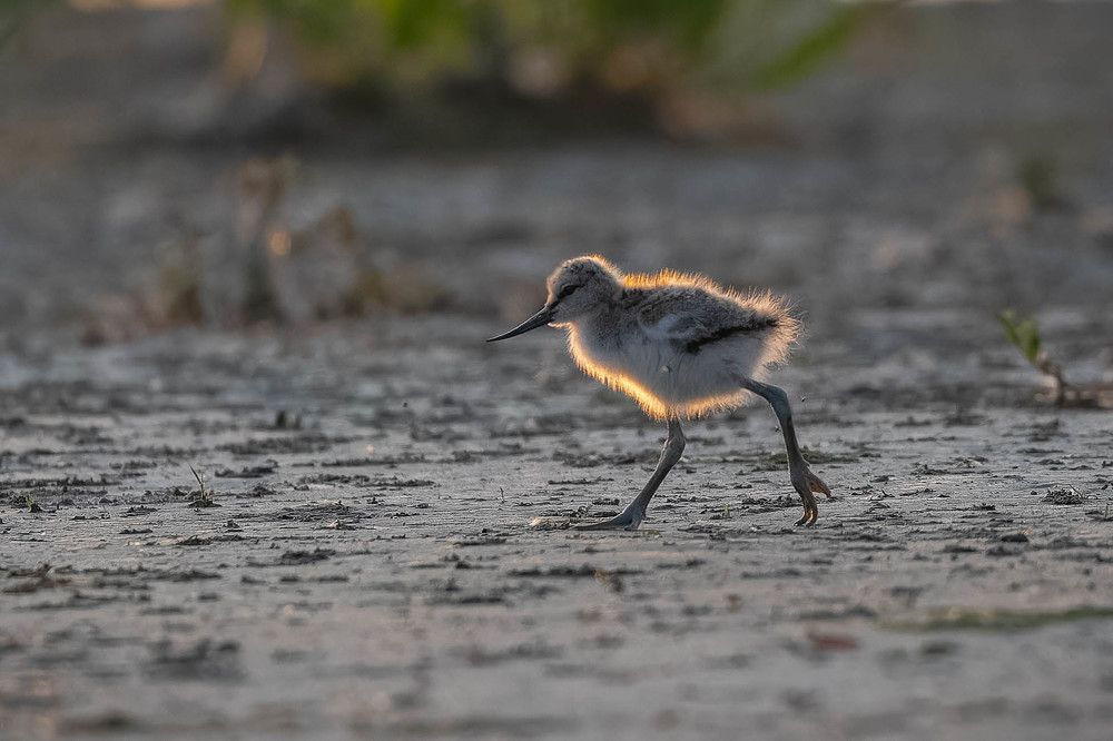 Photograph by George Alexandru Ghiuro