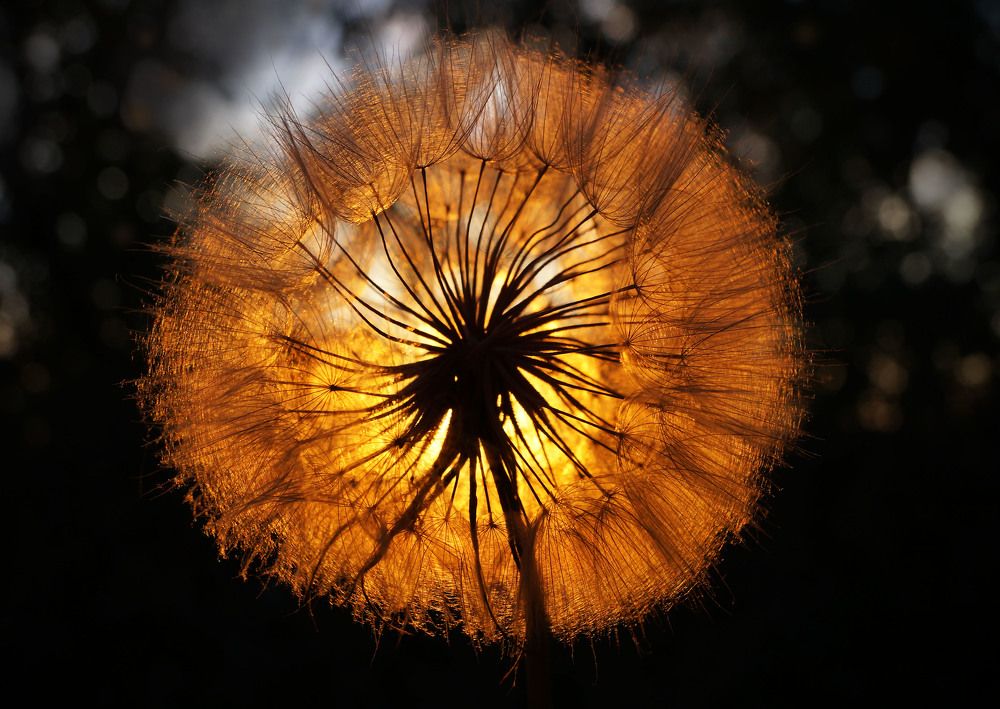 Photograph by Мишустина Татьяна