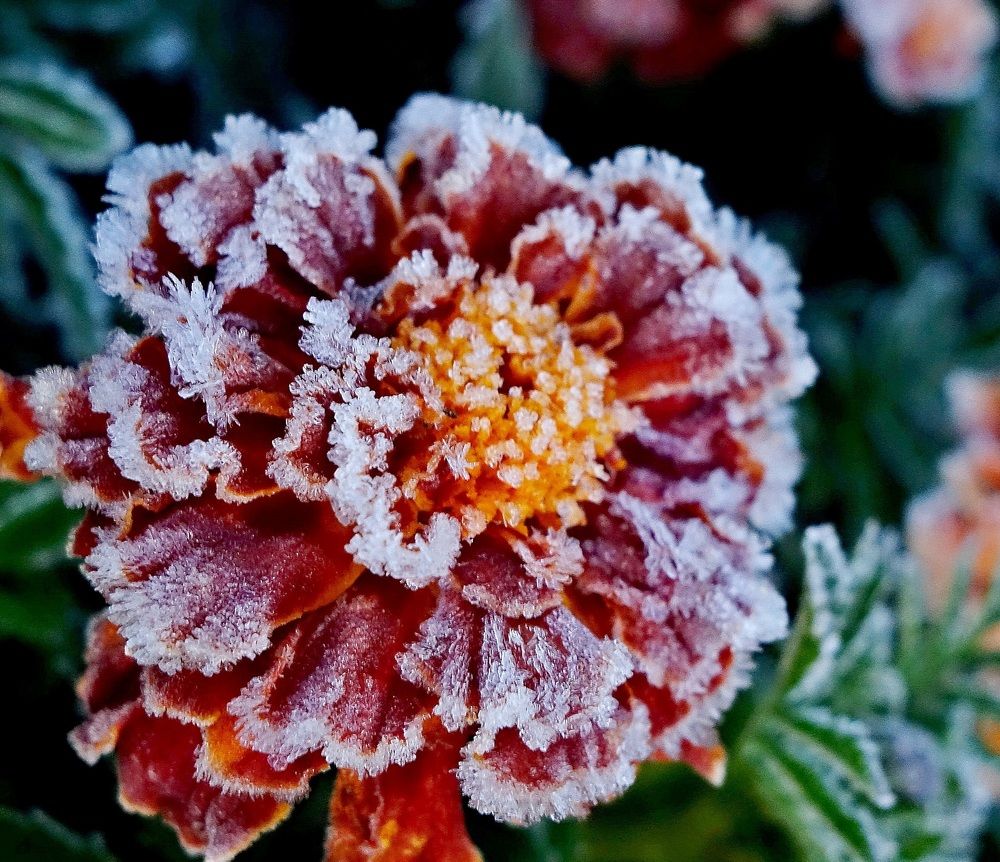 Photograph by Виктор Решетников