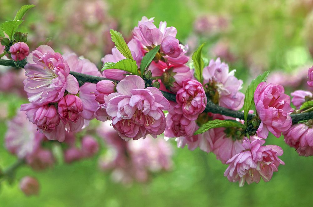 Photograph by Мишустина Татьяна