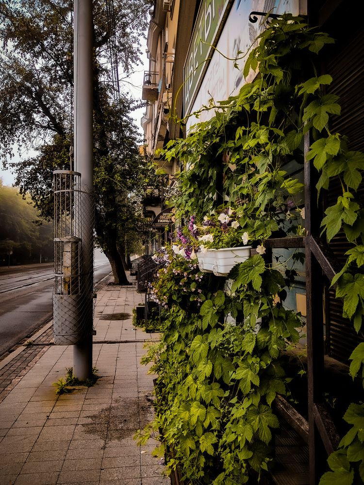 Photograph by Владимир Сушкин